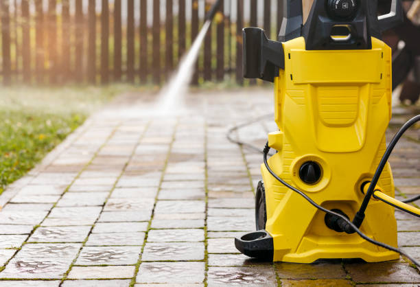 Animal Enclosure Cleaning in Cane Savannah, SC